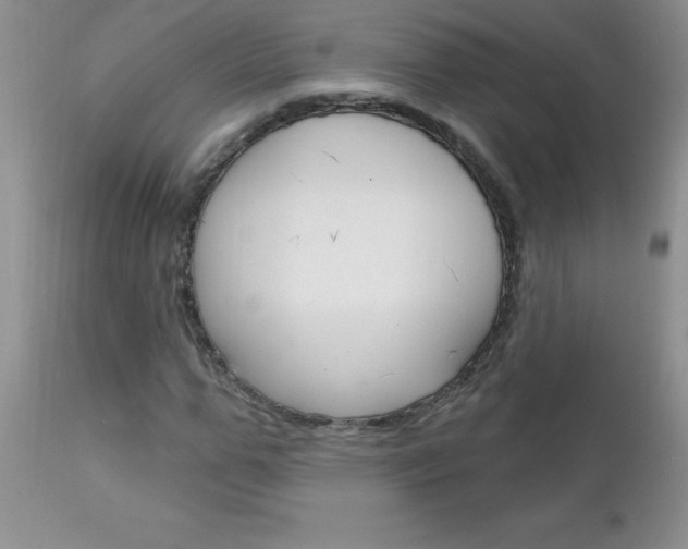 X0000111130967200906301101