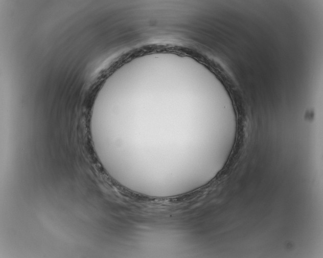 X0000111130968200906301101