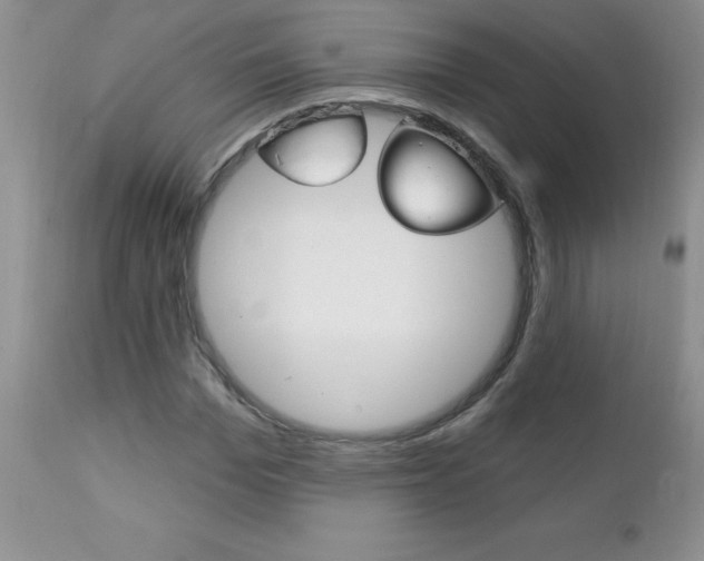 X0000111130969200906301101