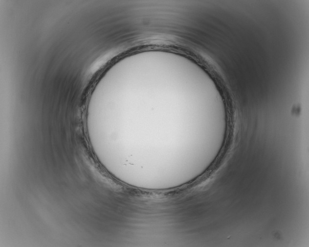 X0000111130970200906301101