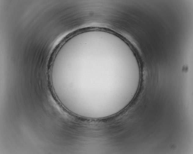X0000111130972200906301101