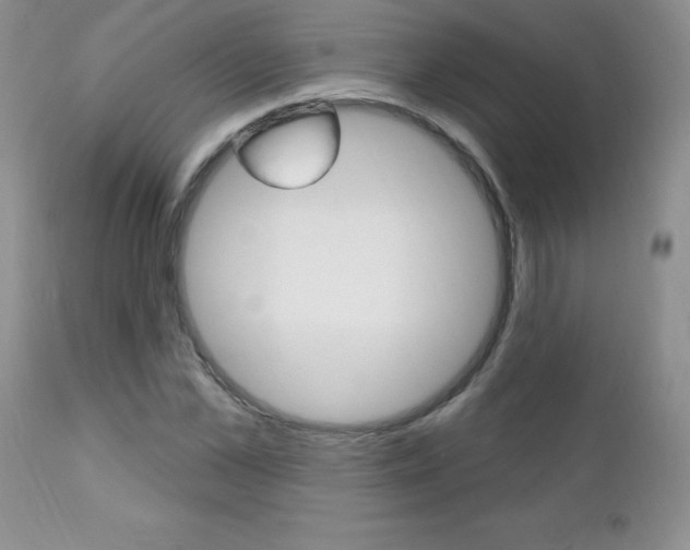 X0000111130973200906301101