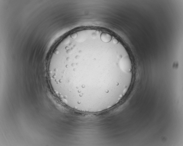 X0000111130974200906301101