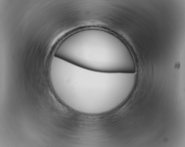 X0000111130975200906301101