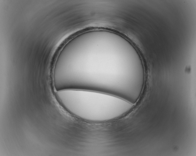 X0000111130976200906301101