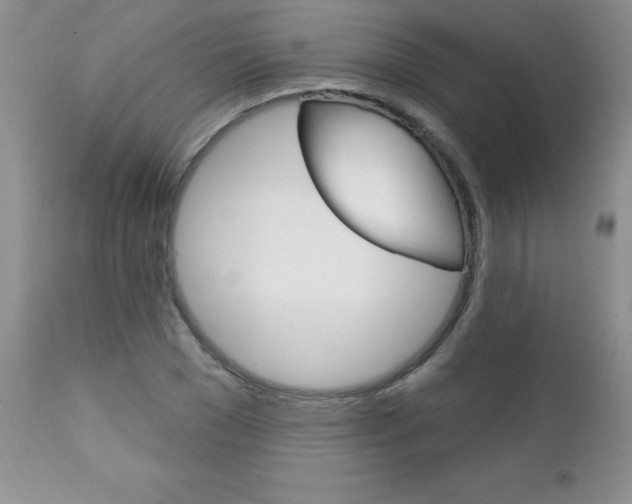 X0000111130977200906301101