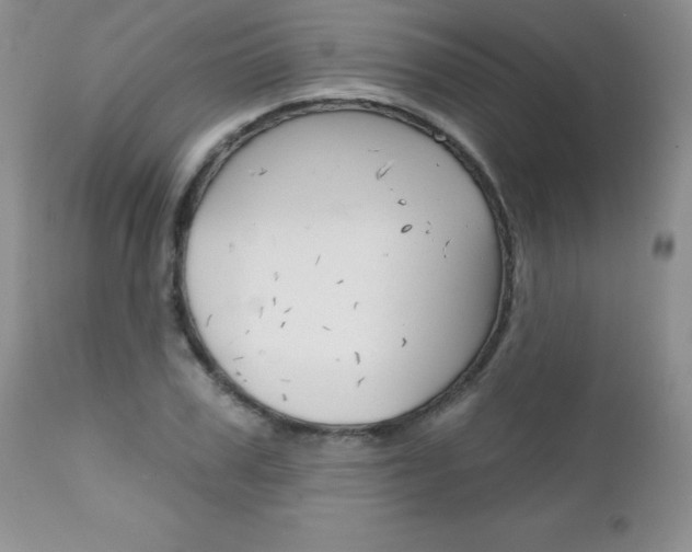 X0000111130979200906301101
