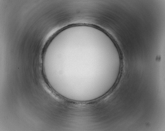 X0000111130982200906301101