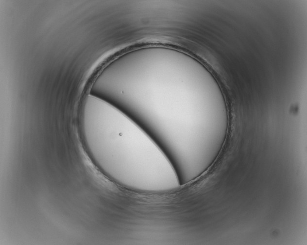 X0000111130984200906301101