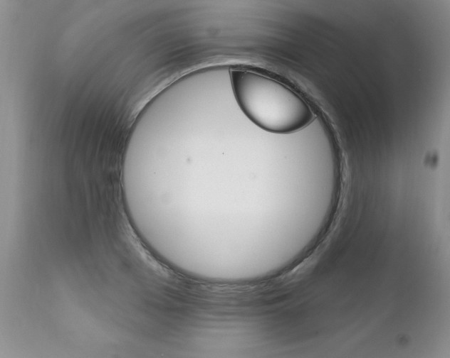 X0000111130985200906301101