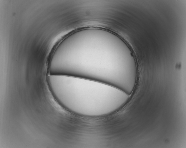 X0000111130987200906301101