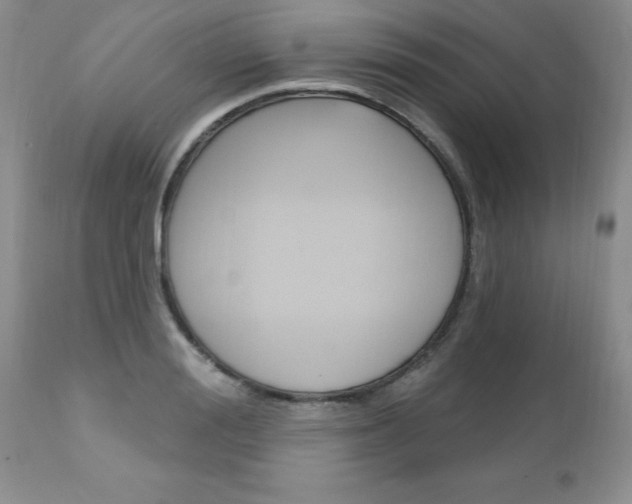 X0000111130988200906301101