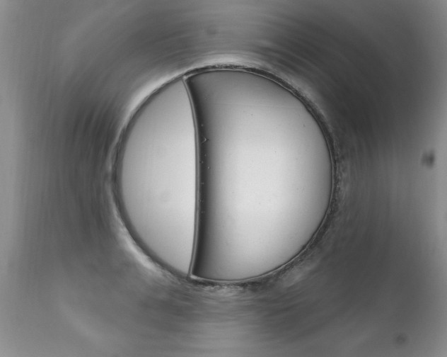 X0000111130991200906301101