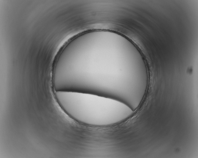 X0000111130992200906301101