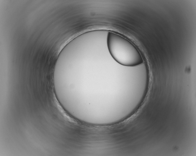 X0000111130993200906301101