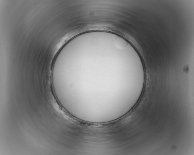 X0000111130994200906301101