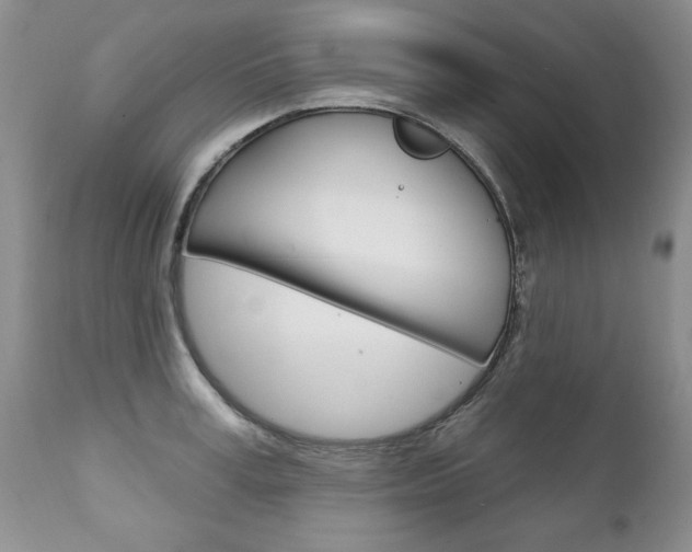 X0000111130995200906301101