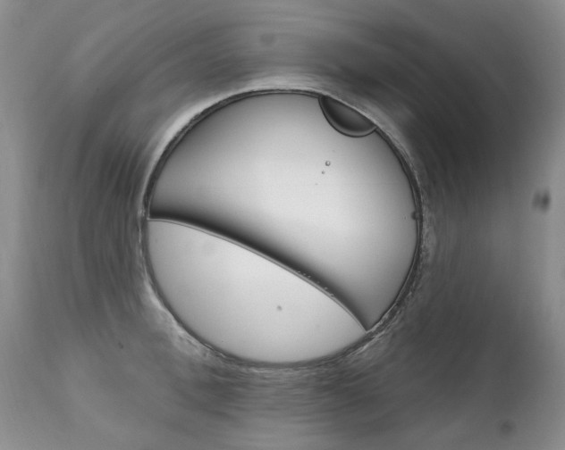X0000111130996200906301101