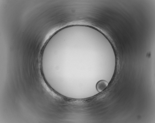 X0000111130998200906301101