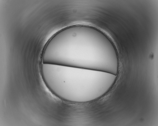 X0000111130999200906301101