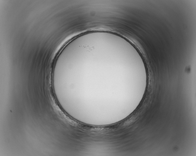 X0000111131000200906301101