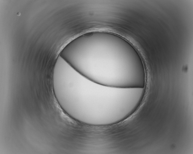 X0000111131001200906301101
