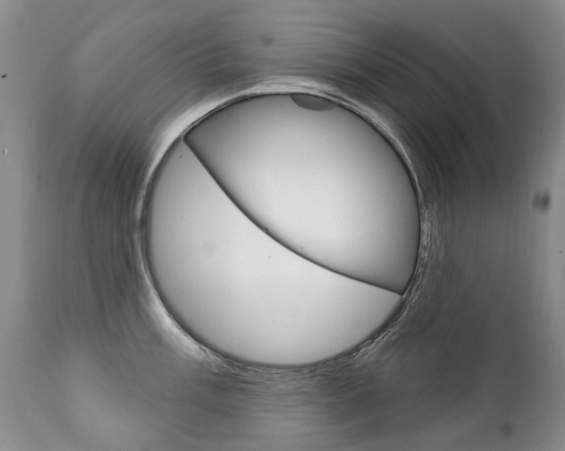 X0000111131003200906301100