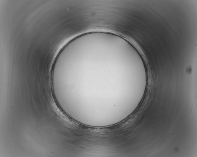 X0000111131004200906301100