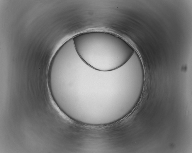 X0000111131005200906301100