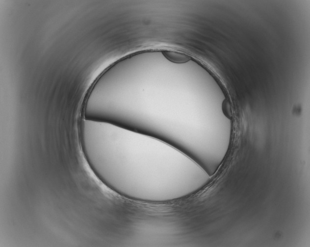 X0000111131007200906301100