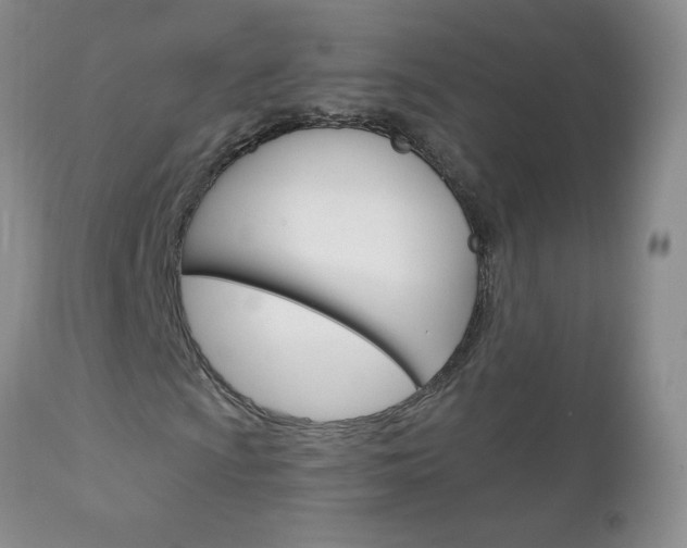 X0000111131009200906301100