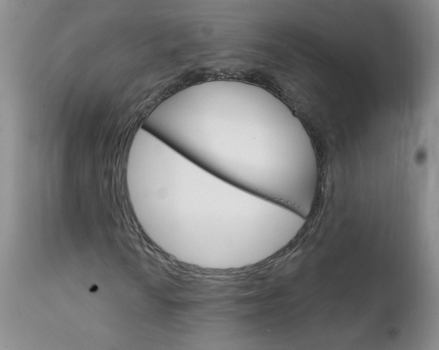 X0000111131010200906301100