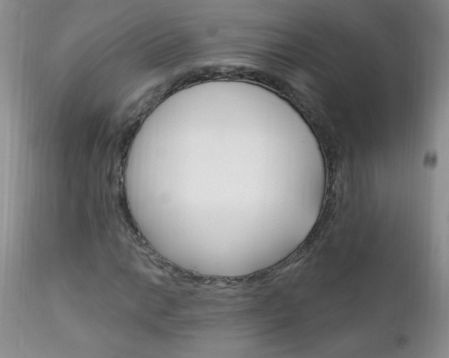 X0000111131014200906301100