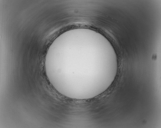X0000111131015200906301100