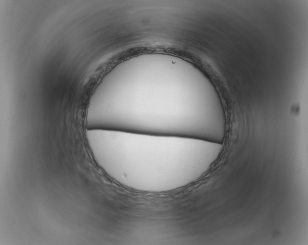 X0000111131016200906301100