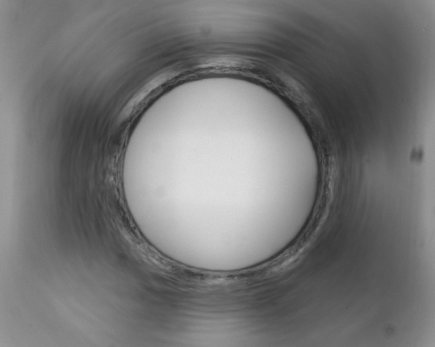 X0000111131017200906301100