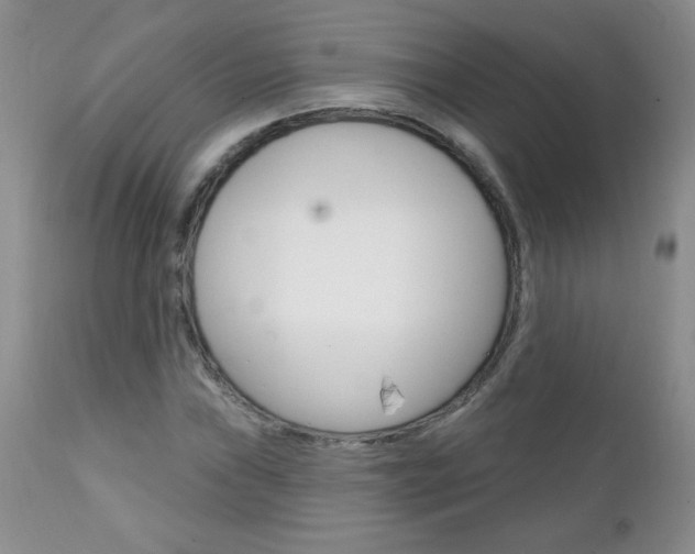 X0000111131019200906301100