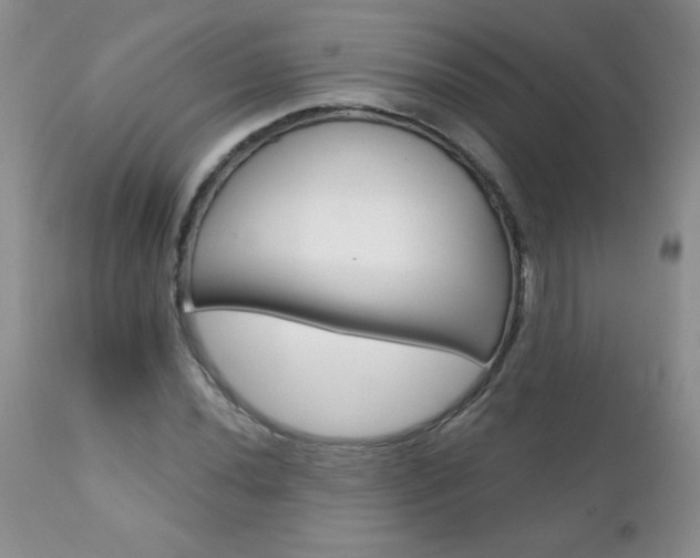 X0000111131020200906301100