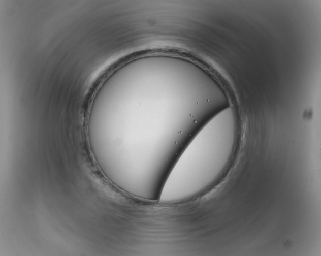 X0000111131021200906301100