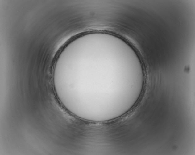 X0000111131023200906301100