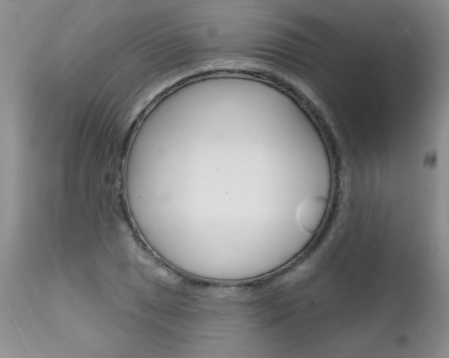 X0000111131025200906301100