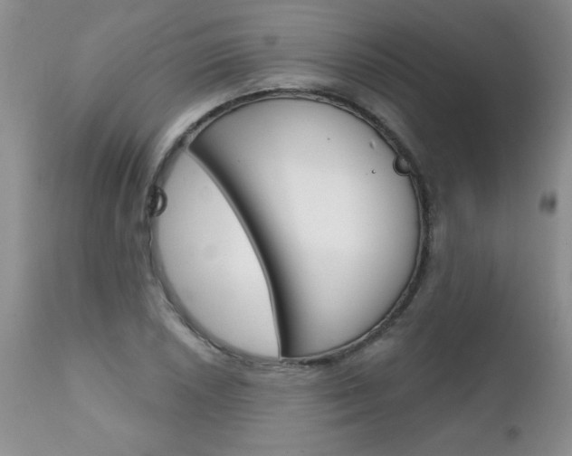 X0000111131026200906301100