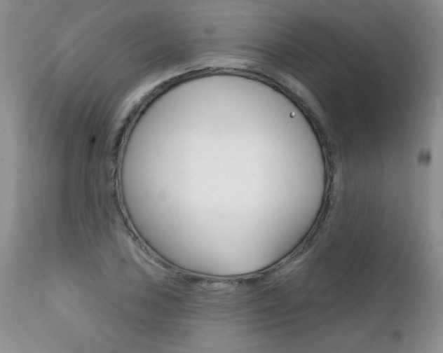 X0000111131027200906301100