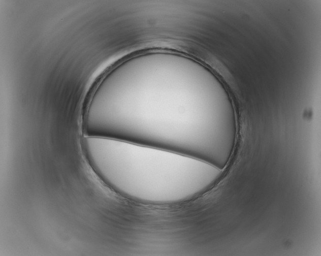 X0000111131028200906301100