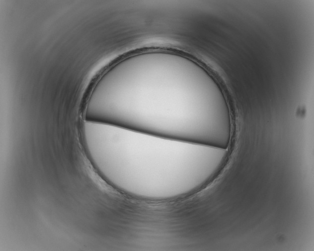 X0000111131029200906301100