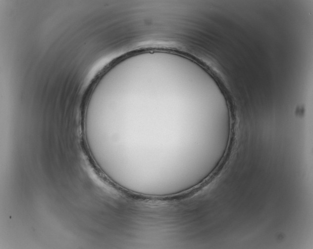X0000111131030200906301100