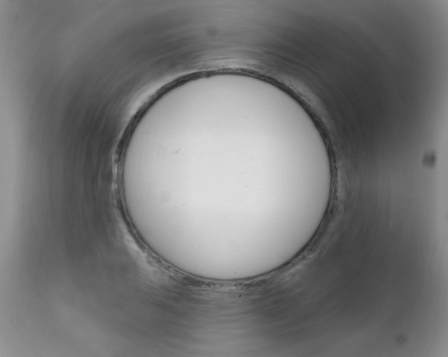 X0000111131031200906301100