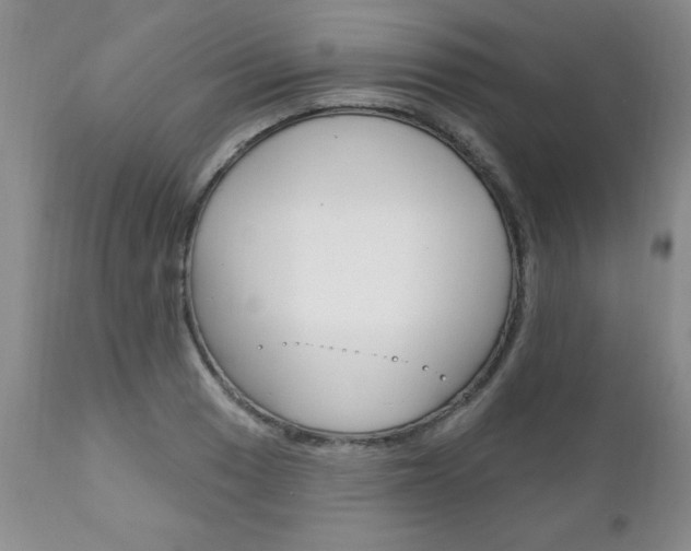 X0000111131033200906301100