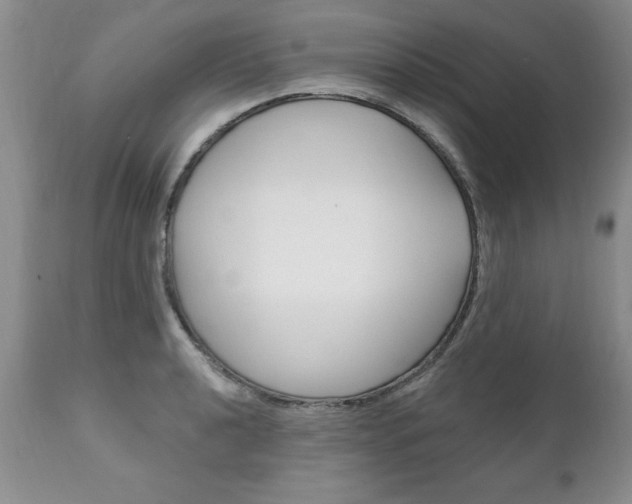 X0000111131040200906301100