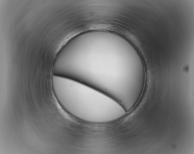 X0000111131041200906301100